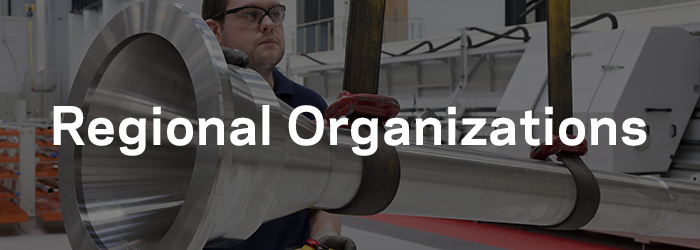 Regional Organizations